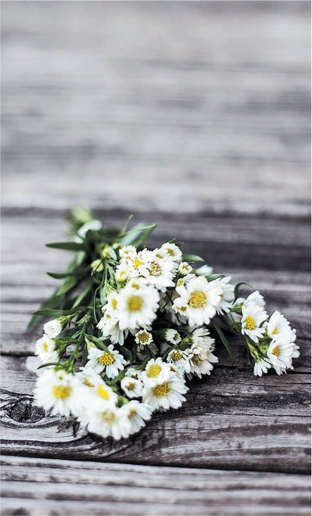 Yellow white flowers on wood deck